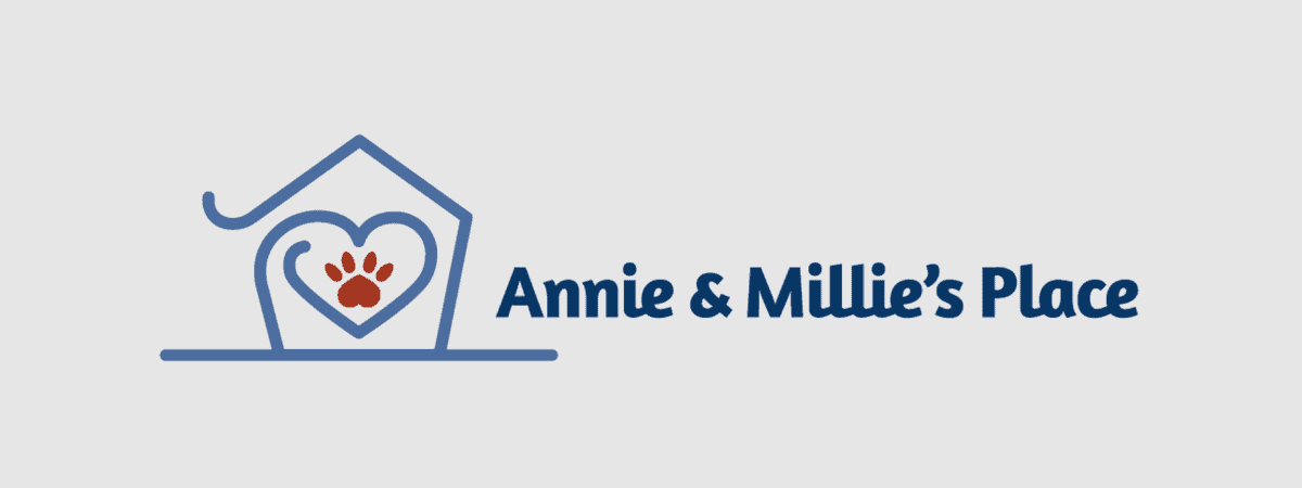 Women + Wine Annie & Millie's Place banner