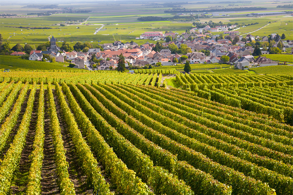 Cote-de-Nuits_1