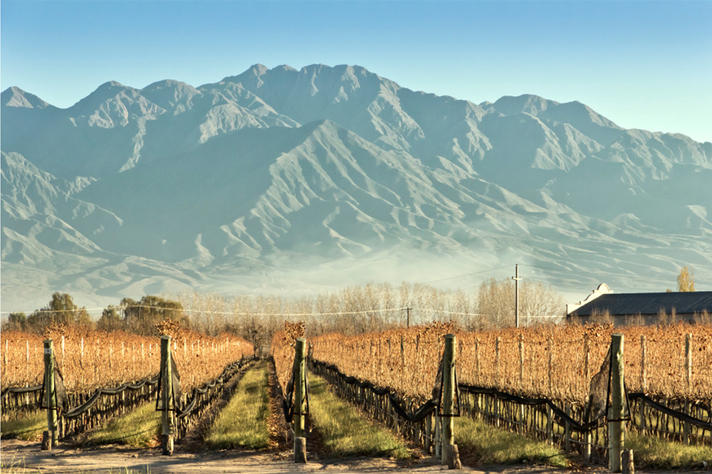 Mendoza-2