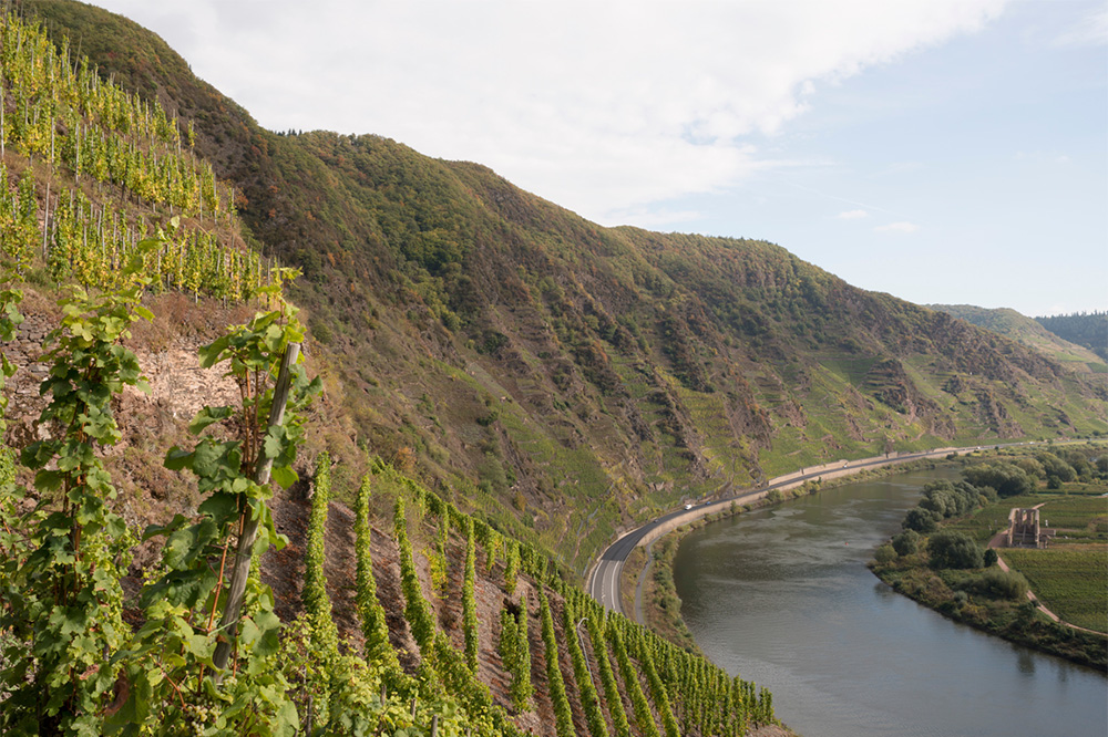 Mosel Valley_3