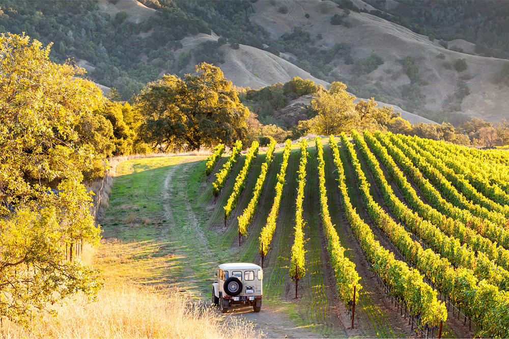 Russian_River_Valley_3