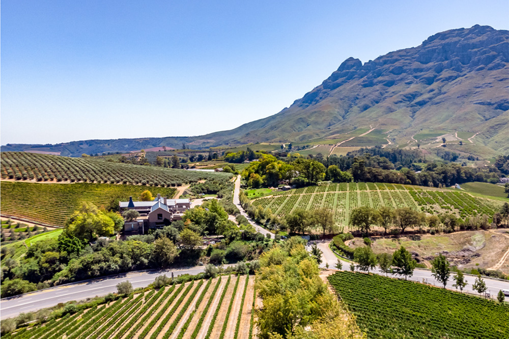 Stellenbosch_3