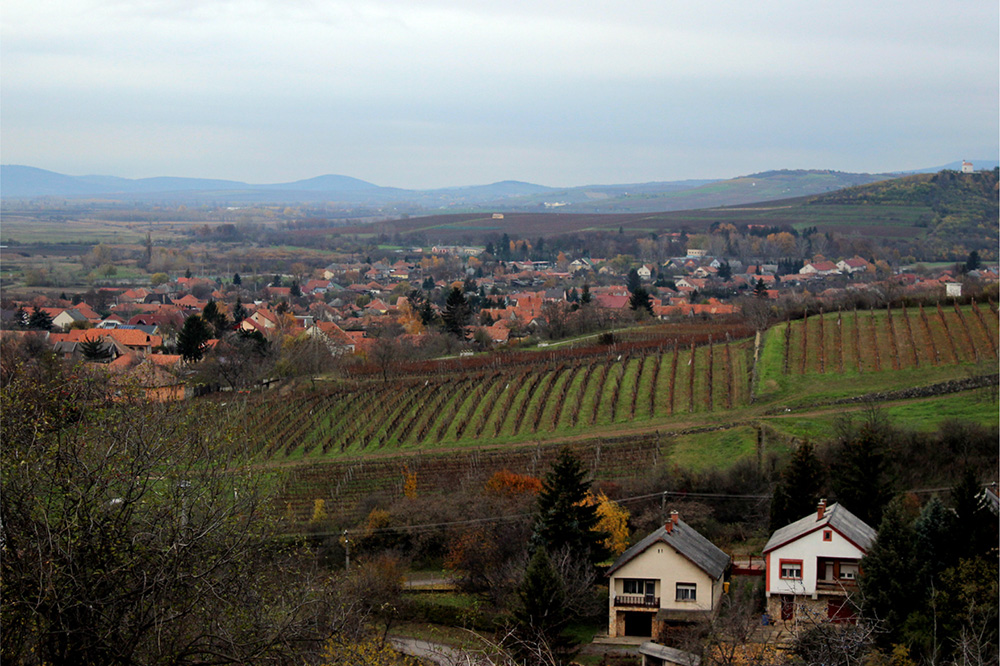Tokaj_2